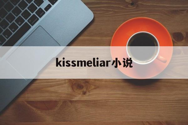 kissmeliar小说(kiss me liar小说作者)